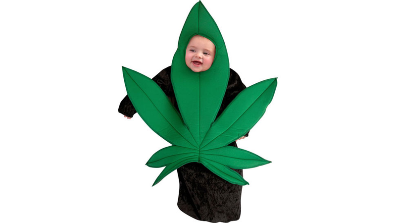 Illustration for article titled Lowbrow Fashion to Make Your 420 a Little Higher